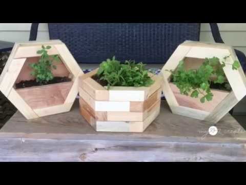 DIY Hexagon Planters