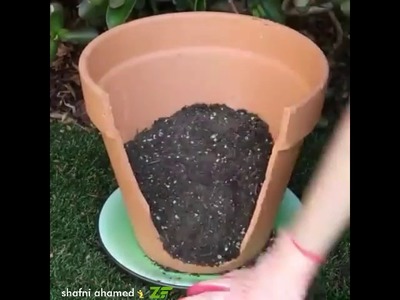 How to make Broken Pot as a  Fairy Garden Mr.Shaf????????(147)