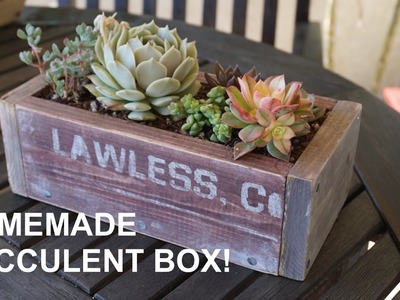 DIY: AWESOME Wooden Succulent Planter Box!