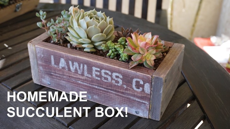 DIY: AWESOME Wooden Succulent Planter Box!