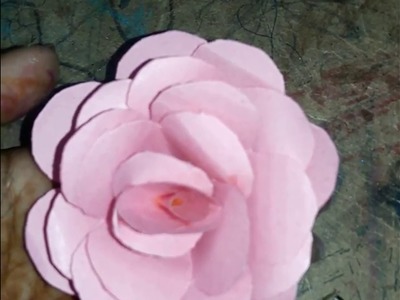 How to create paper cutting rose flower
