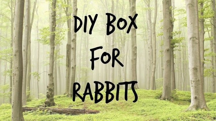 DIY Carrier Box For Rabbits