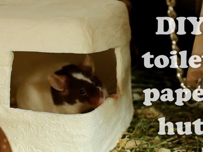 DIY toilet paper hut for small animals - CHEAP and EASY!