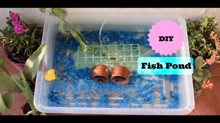 DIY Aquarium Fish Pond