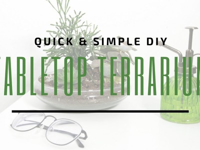 DIY TABLETOP TERRARIUM ????  | Easy Succulent or Cacti Terrarium