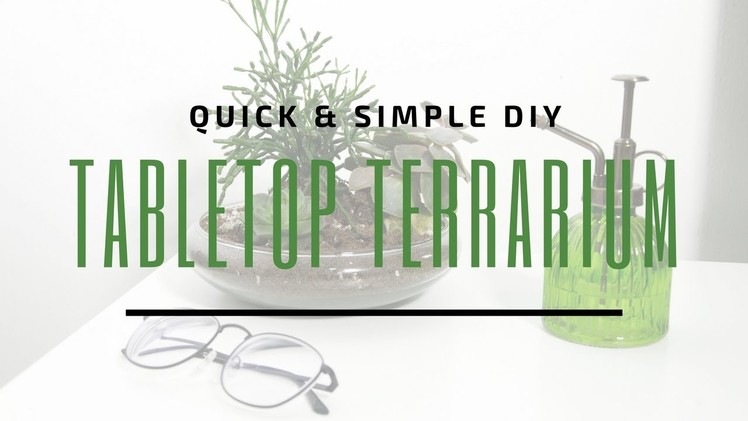 DIY TABLETOP TERRARIUM ????  | Easy Succulent or Cacti Terrarium