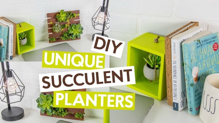 DIY Unique Succulent Planters