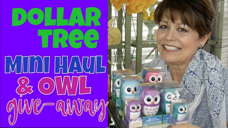 Dollar Tree Mini-Haul, Spring and DIY Readiness - Get Ready for Spring Do-it-Yourself Fun!