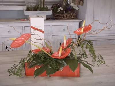 Anthurium Flowers into an empty Champagne Box Floristry Tutorial