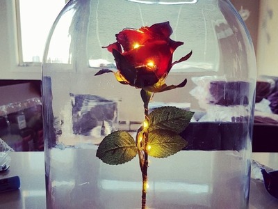 DIY Enchanted Rose from Beauty and The Beast!