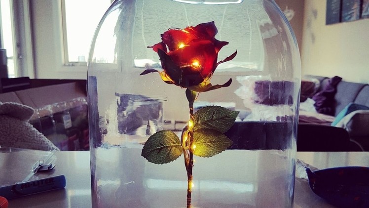 DIY Enchanted Rose from Beauty and The Beast!