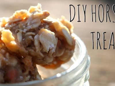 DIY Homemade Horse Treats w. Honey and Applesauce
