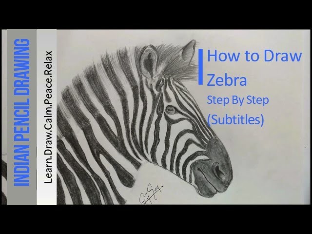 How to Draw a Zebra - Step by step tutorial