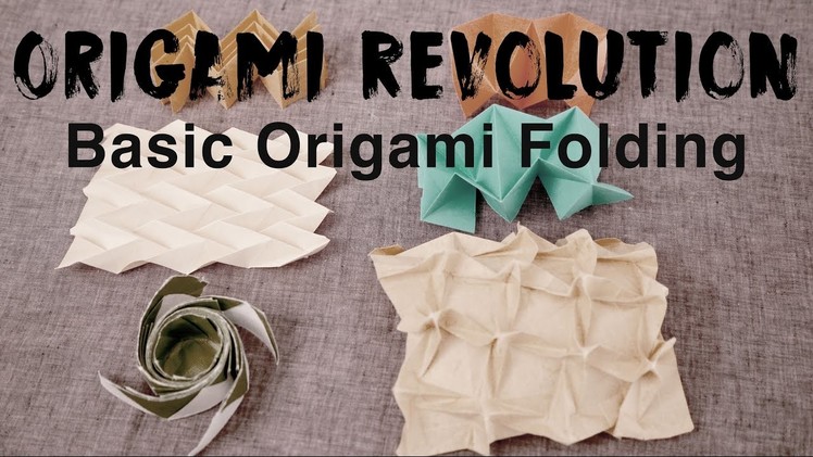 Origami Revolution : Basic Origami Folding
