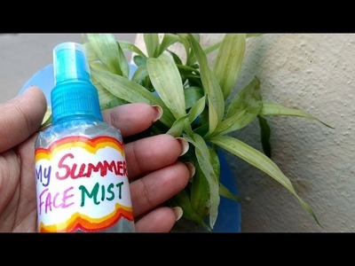 SUMMERS SPECIAL DIY FACE MIST For OILY & DRY SKIN, ACNE PRONE SKIN, Refreshing Face Mist | Merriness