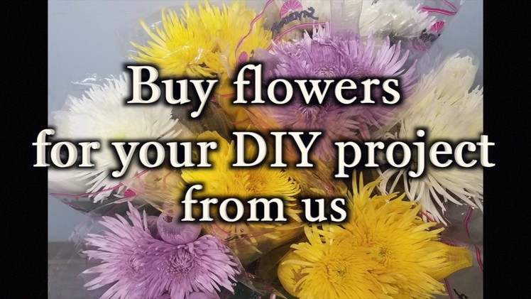 Bulk flowers for your DIY project