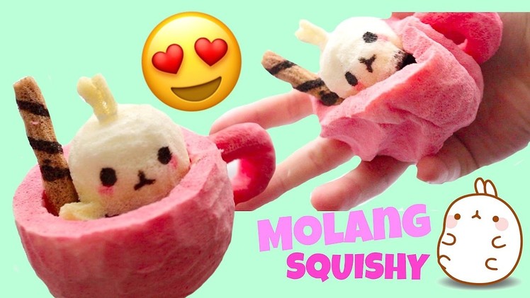 DIY Molang in a Coffee Cup Squishy + SQUISHY MEETUP