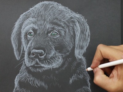 Dog│ How to Draw a Dog │ Como Dibujar un Perro │Easy Art