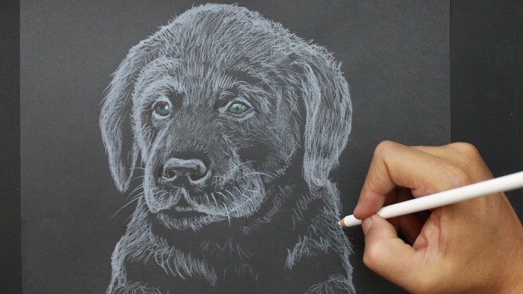 Dog│ How to Draw a Dog │ Como Dibujar un Perro │Easy Art