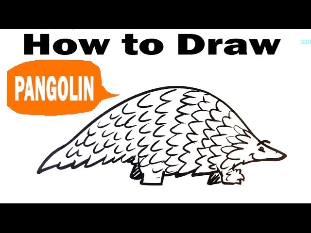 How to Draw a Pangolin - Cute - Easy Pictures to Draw