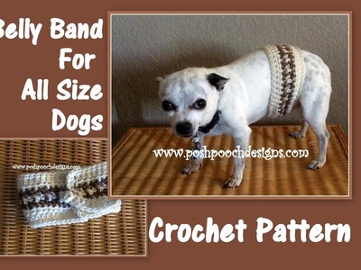 Belly Band Crochet Pattern