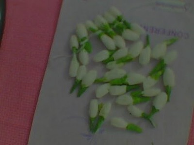 DIYpaper craft, Jasmine  buds (mogra)   from tissue paper.   #1