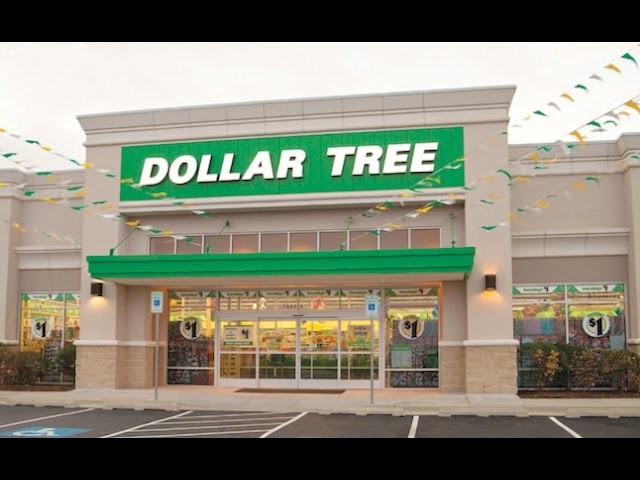 Dollar Tree Haul | DIY | HOME DECOR | Spring 2017