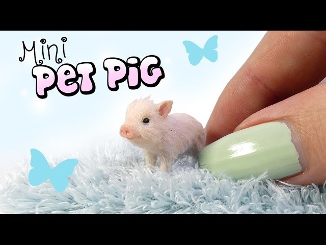 How To Mini Pet Pig Tutorial. DIY Doll Miniature Pig