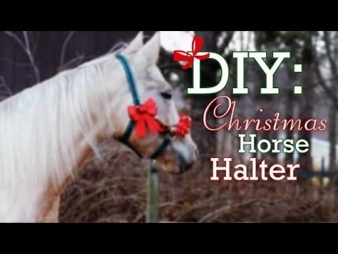 DIY: Christmas Horse Halter!