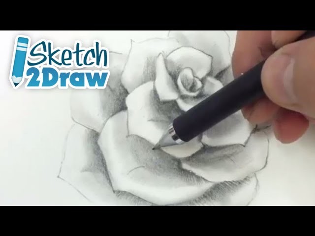 How to Shade a Rose (Pencils)