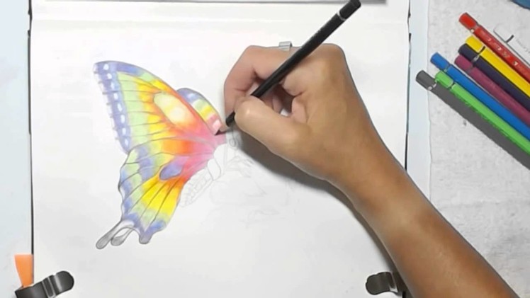 Painting a Watercolor Pencils Butterfly by Dion Dior