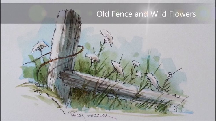 Pen and Wash watercolor tutorial of a Fence post and Wildflowers. With Peter Sheeler
