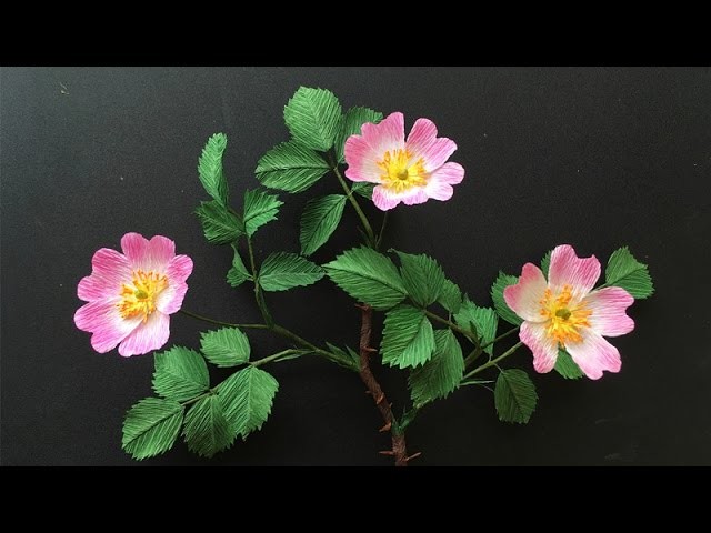 ABC TV | How To Make Wild Rose Paper Flower From Crepe Paper - Craft Tutorial