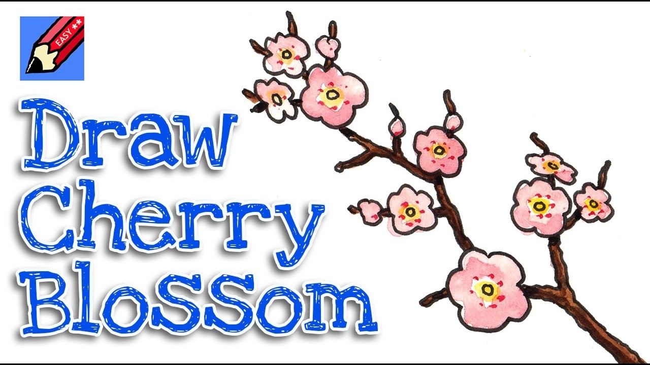 How to draw cherry blossom real easy - step-by-step