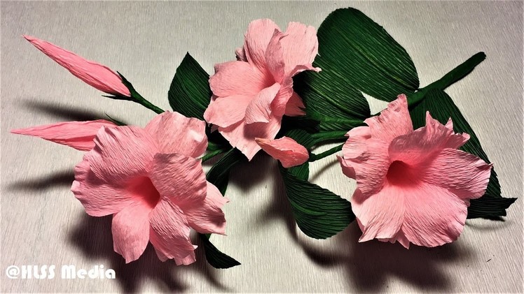 How to make an easy diy origami mandevilla paper flower. making flower by crepe paper step by step