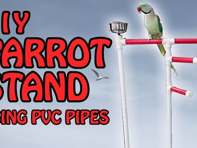 DIY Parrot Stand | How to build a Bird Perch Stand using PVC Pipes | Video in English