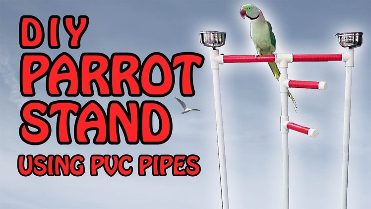 DIY Parrot Stand | How to build a Bird Perch Stand using PVC Pipes | Video in English