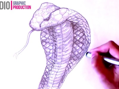 How to Draw a King Cobra Snake | Step by Step
