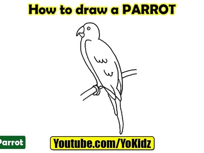 How to draw a PARROT