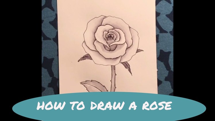 How to Draw a Rose MIMI'S SKETCHBOOK