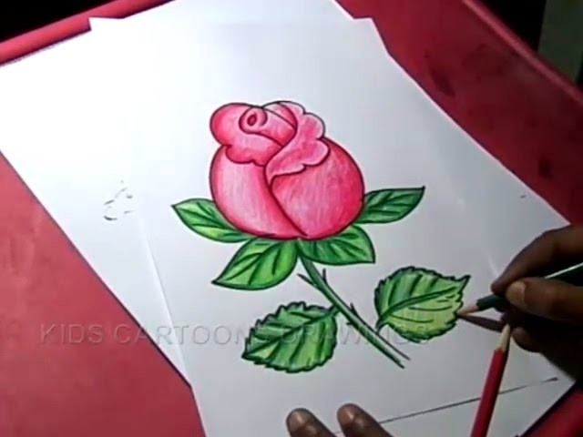 How to Draw Rose Flower Drawing for kids step by step for Kids