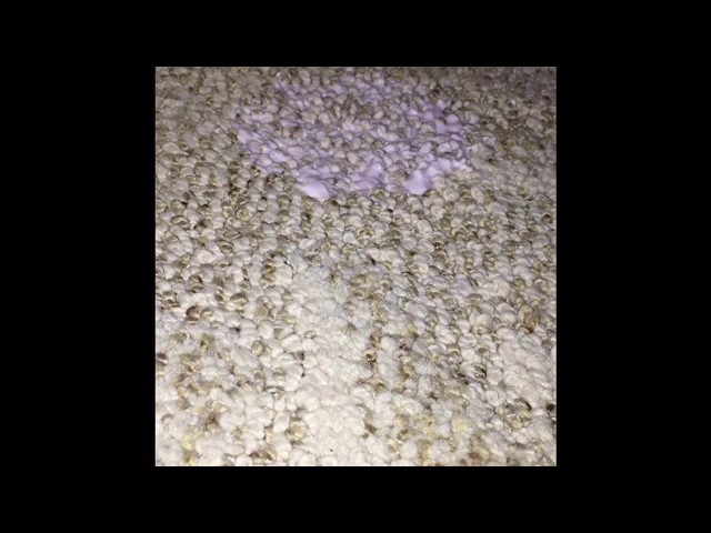 How to get slime out of carpet