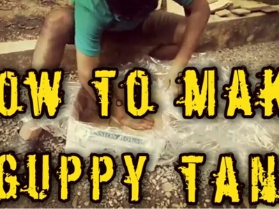 How to make a guppy fish tank