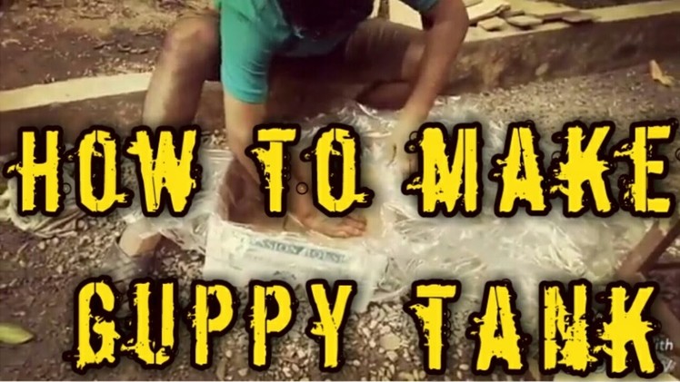 How to make a guppy fish tank