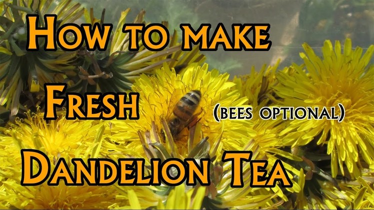 How to: Make Dandelion Tea (Soft Spoken)