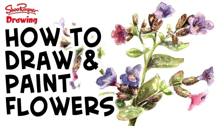 How to paint flowers in watercolor -  Pulmonaria - Soldiers and Sailors
