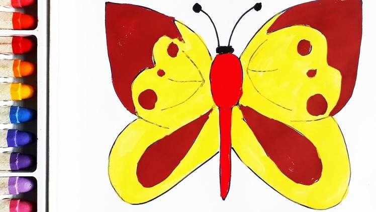 Simple Example How to Draw Butterfly,the most beautiful butterflies for kids