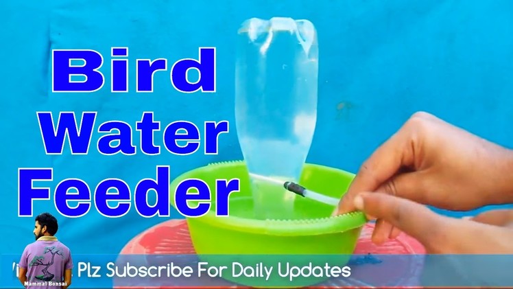 पंछियों को दे  गरमियों का तोहफ़ा.How to Make Automatic Bird Water Feeder. Mammal Bonsai