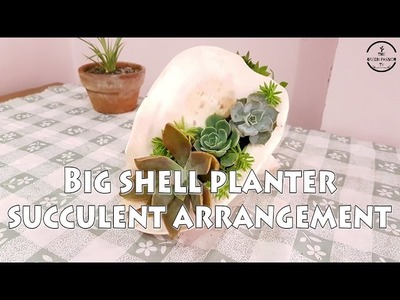 DIY: Mini Succulent Garden in a Seashell l Cactus and Succulent Garden Tour