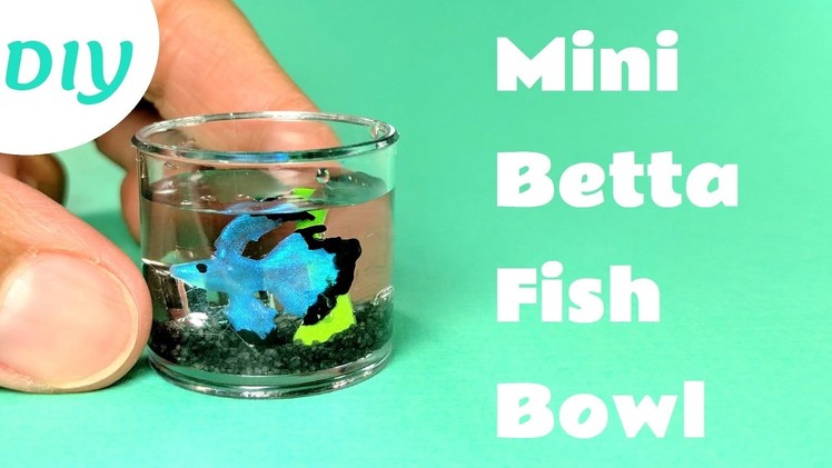 DIY Miniature Betta Fish Bowl
